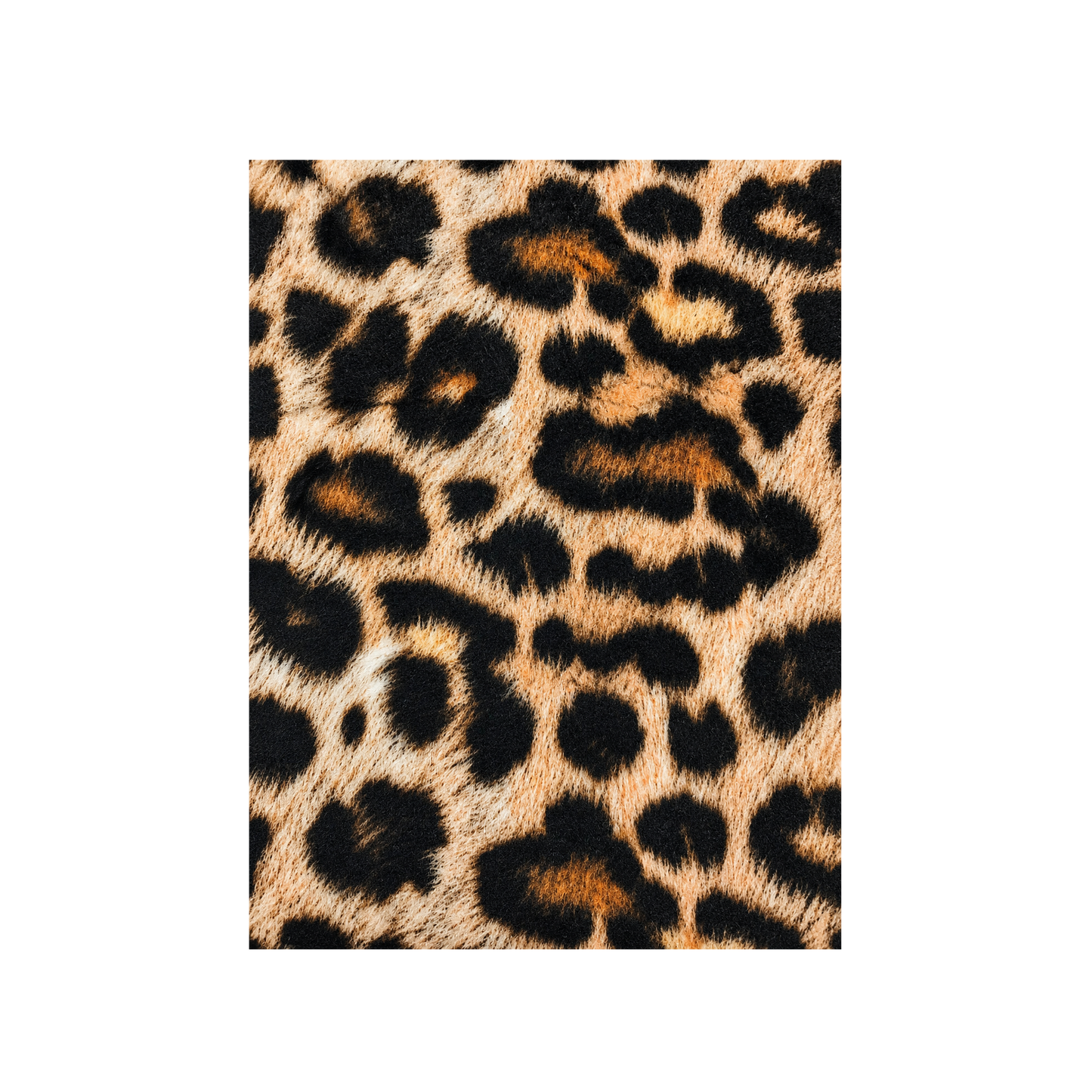 WILD COLLECTION