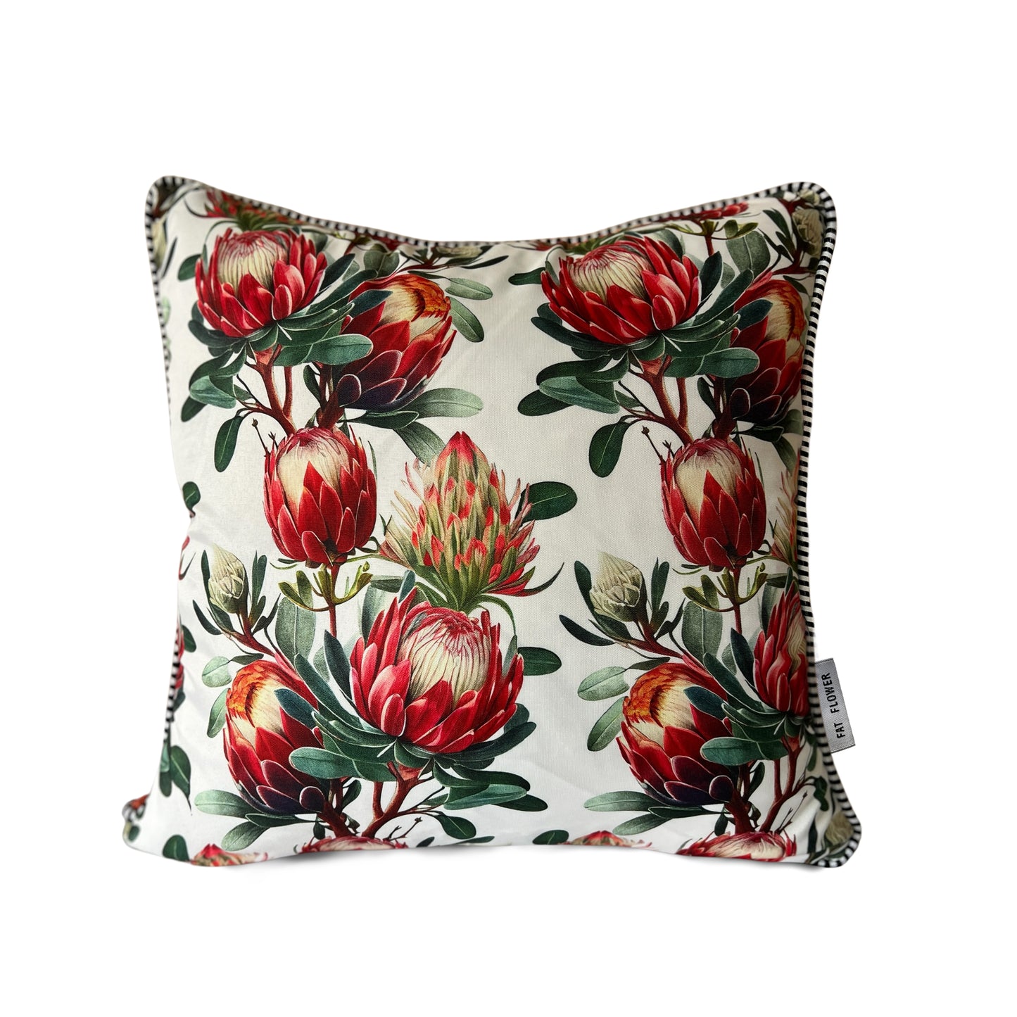 Light Protea